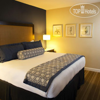 InterContinental Tampa 