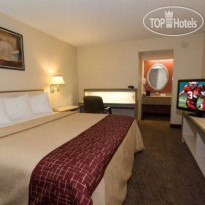 Red Roof Inn Tampa Busch Номер