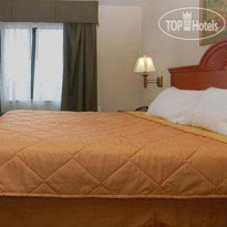 Comfort Suites Fort Pierce Номер