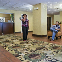 Hampton Inn Tampa Brandon 