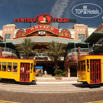 Fairfield Inn & Suites Tampa Brandon 