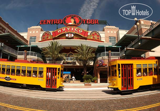 New photos from tourists Fairfield Inn & Suites Tampa Brandon 3*