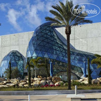 Fairfield Inn & Suites Tampa Brandon 