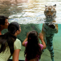 Fairfield Inn & Suites by Marriott Tampa North 