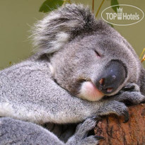 Fairfield Inn & Suites by Marriott Tampa North 