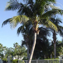 Fairfield Inn & Suites West Palm Beach Jupiter