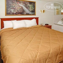 Comfort Inn Airport at RJ Stadium 