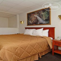 Comfort Inn Airport at RJ Stadium 