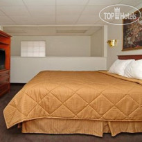 Comfort Inn Airport at RJ Stadium 