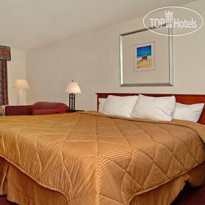 Comfort Inn Airport at RJ Stadium 