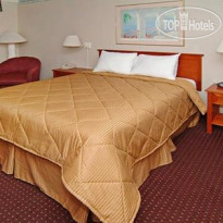 Comfort Inn Airport at RJ Stadium 