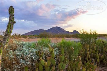 New photos from tourists Homewood Suites by Hilton Phoenix Scottsdale 3*
