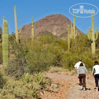 Hampton Inn Tucson-North 