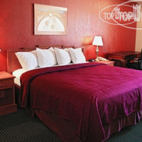 Quality Inn Winslow