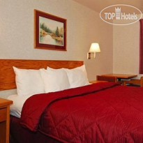 Comfort Inn Snowflake 