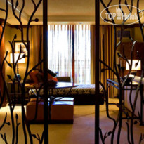 The Westin Kierland Resort & Spa 