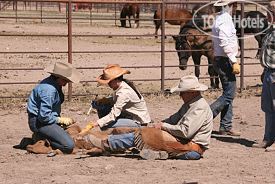 New photos from tourists Price Canyon Ranch 