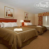 Comfort Suites Univ. of Phoenix Stadium Area 