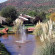 Poco Diablo Resort 