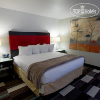 The Clarendon Hotel Phoenixs Urban Retreat