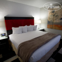 The Clarendon Hotel Phoenixs Urban Retreat