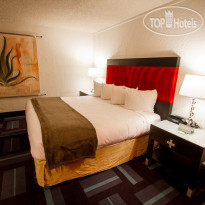 The Clarendon Hotel Phoenixs Urban Retreat