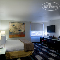 The Clarendon Hotel Phoenixs Urban Retreat