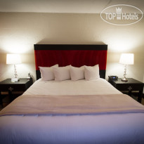 The Clarendon Hotel Phoenixs Urban Retreat