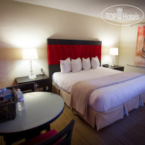 The Clarendon Hotel Phoenixs Urban Retreat