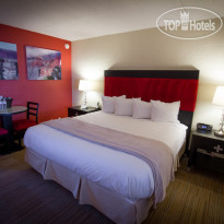 The Clarendon Hotel Phoenixs Urban Retreat