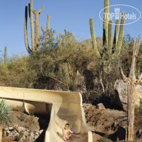 The Ritz-Carlton Dove Mountain 