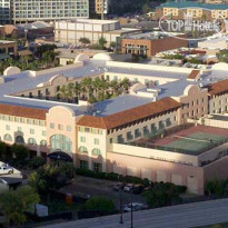 Tempe Mission Palms