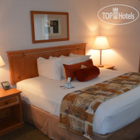 Best Western Rory & Ryan Inns