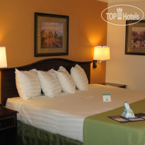 Best Western Skyline Motor Lodge