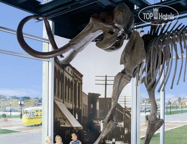 New photos from tourists Best Western Harborside Inn & Kenosha Conference Center 2*