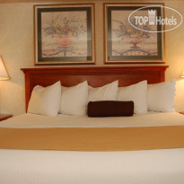 Best Western Plus East Towne Suites 