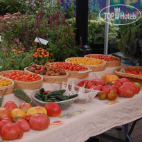 Fairfield Inn & Suites by Marriott Madison East 