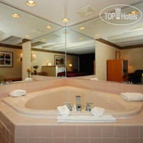 Comfort Inn & Suites Airport Madison