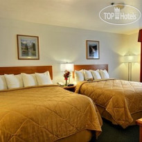 Quality Inn Belgrade 