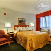Quality Inn Belgrade 