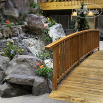 Cmon Inn Hotel & Suites Billings Задний двор