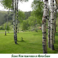 Rye Creek Lodge