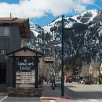 Tamarack Lodge