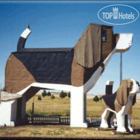 Dog Bark Park Inn 