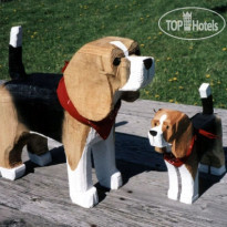 Dog Bark Park Inn 