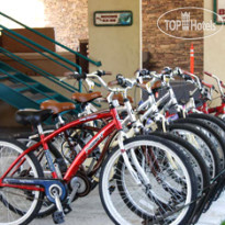 Best Western Driftwood Inn 