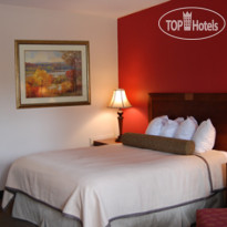 Best Western Driftwood Inn 