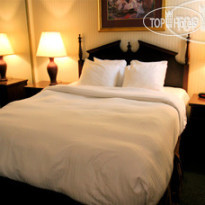 Best Western PLUS CottonTree Inn