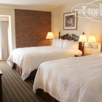 Best Western PLUS CottonTree Inn