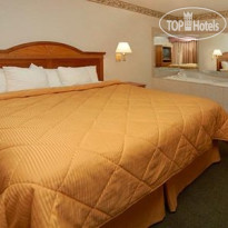Comfort Inn & Suites Ann Arbor